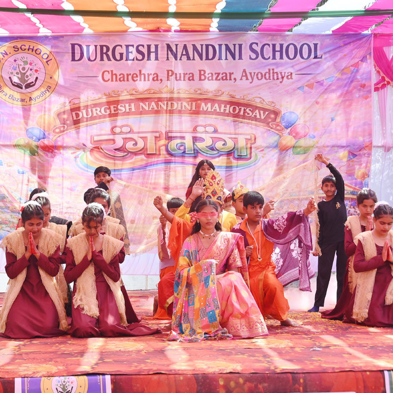 DN School
